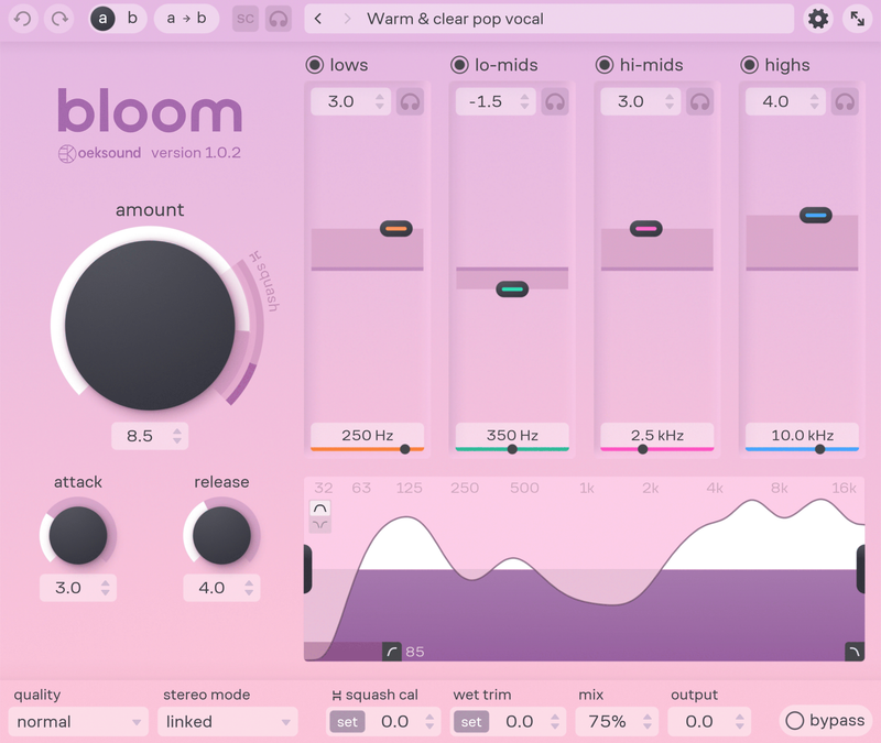 Mastering Your Mix with Oeksound Bloom